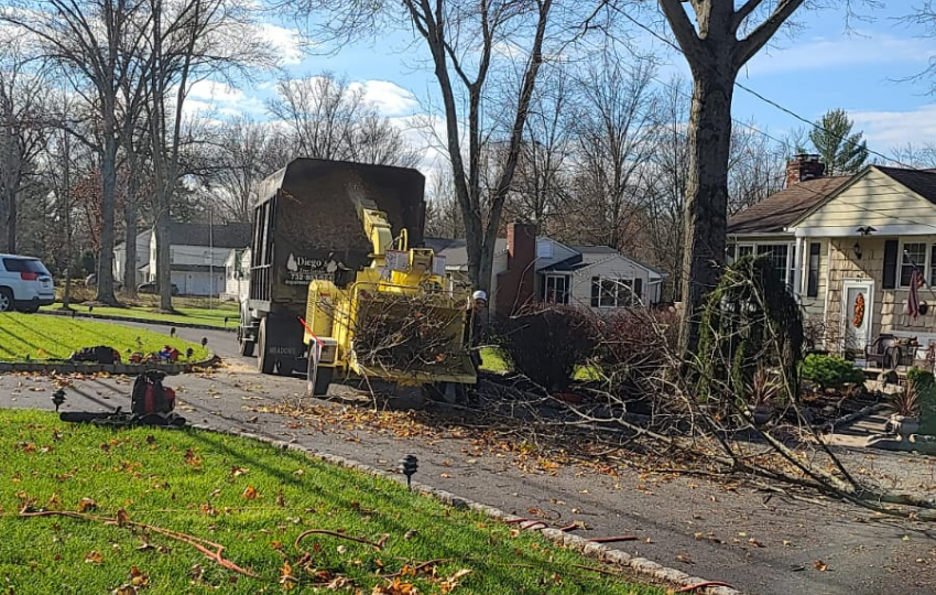 %title% %sep% Tree Removal, StumpRemoval, Storm Damage Repair in NJ