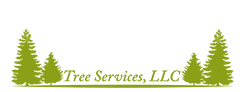 Diego's Tree Services