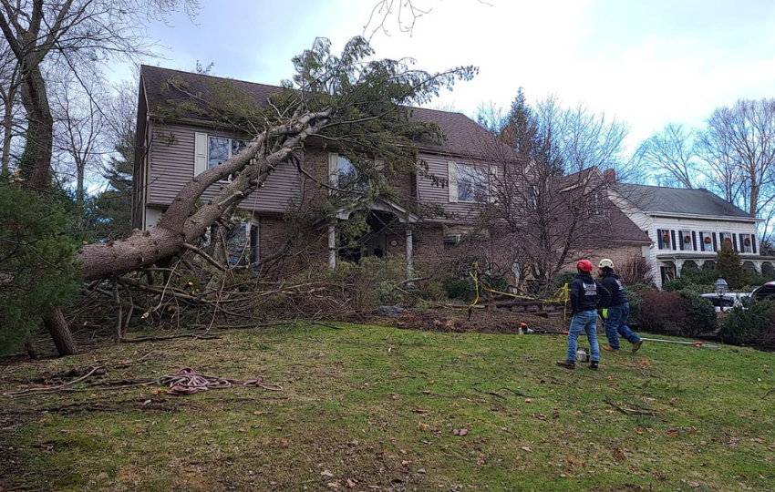%title% %sep% Tree Removal, StumpRemoval, Storm Damage Repair in NJ
